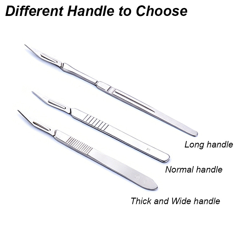 Stainless Steel Scalpel Knife  - Chisel Set Wood ulasan dan harga